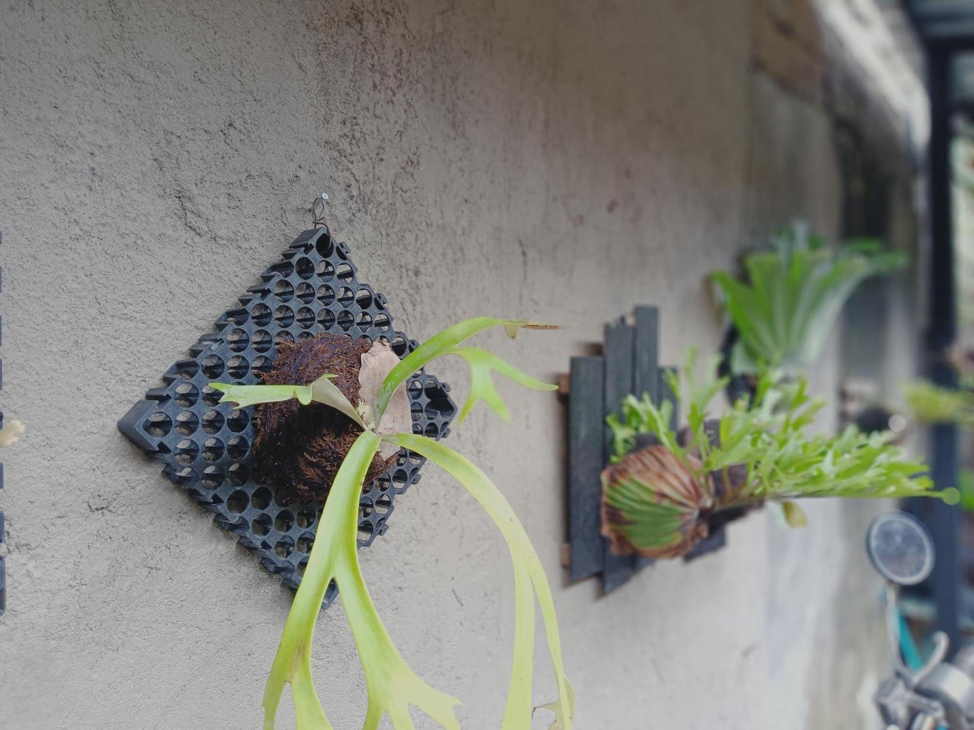 Sudana Homestay อูบุด ภายนอก รูปภาพ