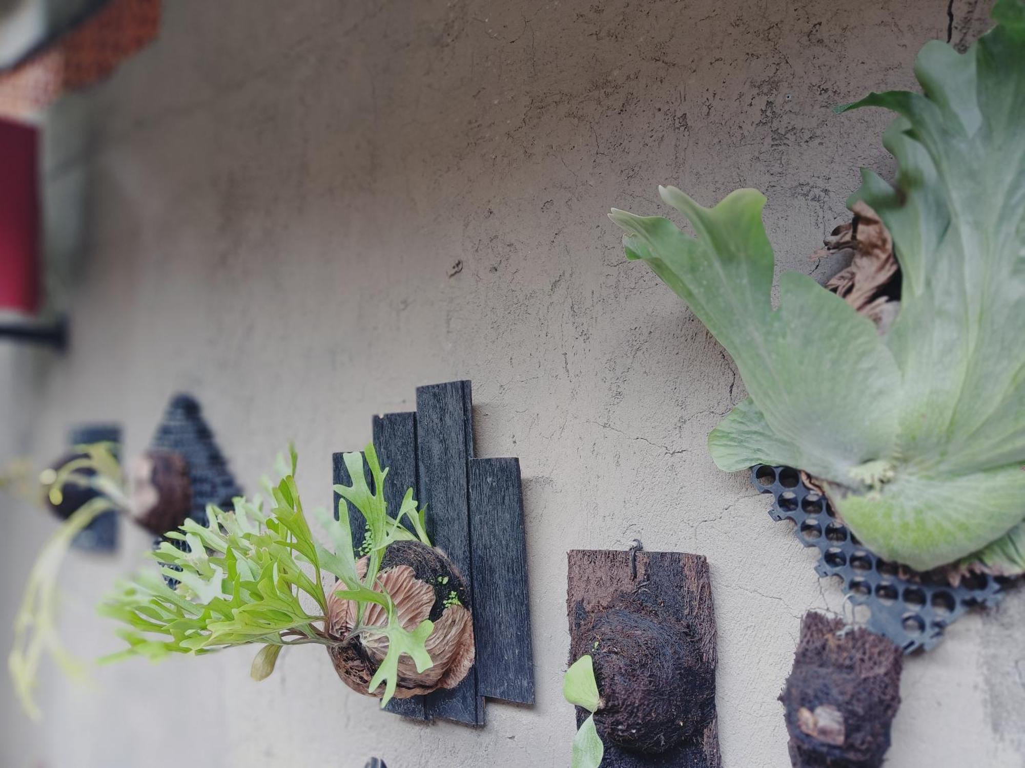 Sudana Homestay อูบุด ภายนอก รูปภาพ